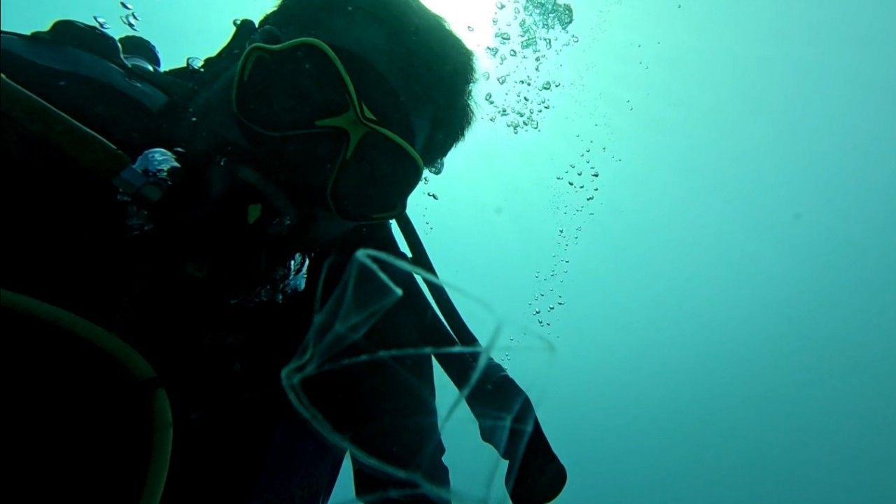 Antalya Körfezi’nde ilk kez görüntülere yansıdı: Sadece berrak suda görülebiliyor