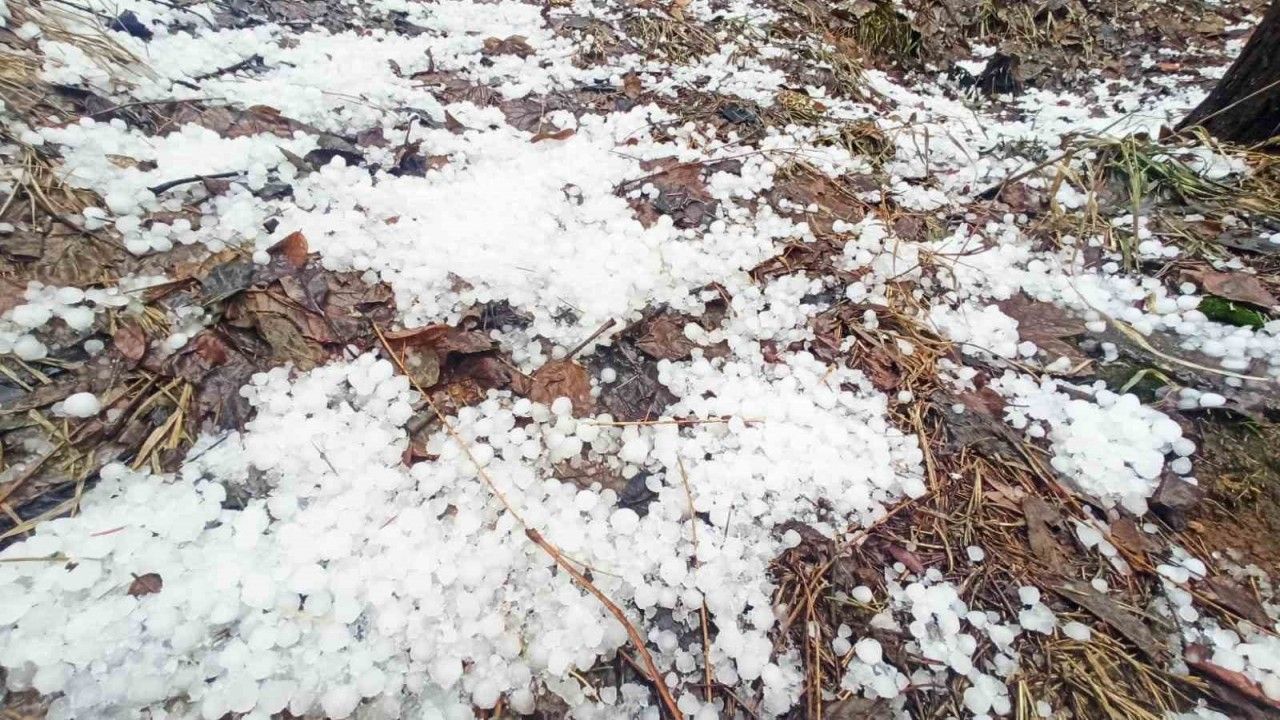 Bitlis’te dolu etkili oldu