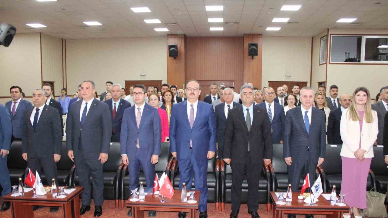 Aydın Memecik Zeytinyağı, dünya markası olacak