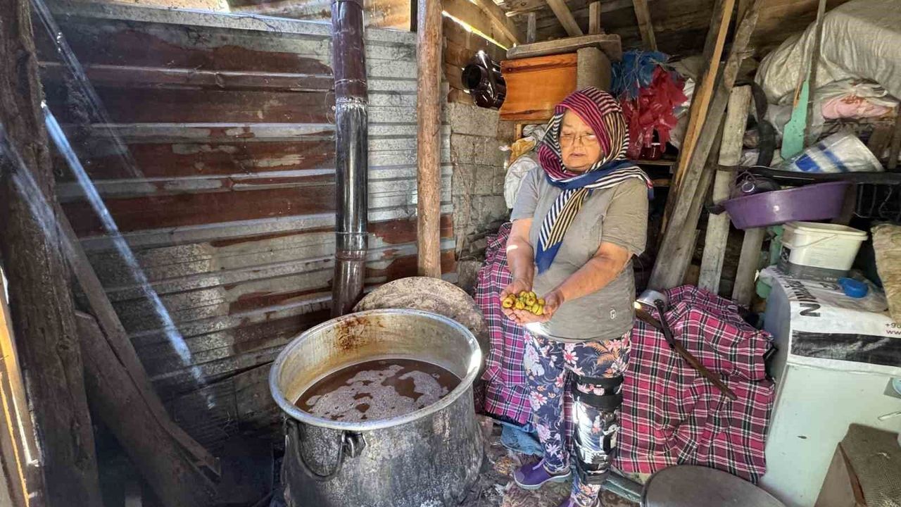 Torosların taş eriği sofralara iniyor 10 kilo erikten 1 kilo ekşi çıkıyor kilogramı 500 liradan satılıyor