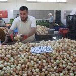 Aşırı yağışlar, soğanın dengesini bozdu