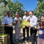 Çinli fenomen çift Aydın incirine hayran kaldı
