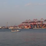 Mersin’de küçük tekne balıkçıları denizde avlanmaya devam ediyor