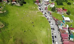 Ayder Yaylası’na 9 günde rekor ziyaretçi