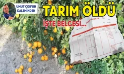 MERSİN’DE TARIM ÖLDÜ! BUYURUN CENAZE NAMAZINA…