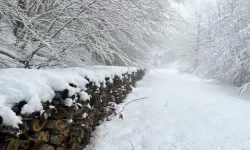 Doğu Karadeniz ve Doğu Anadolu’da kar bekleniyor