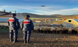 Kayıp koyunlar dron yardımıyla bulundu