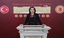 CHP Mersin Milletvekili Gülcan Kış: “İnsan onuruna yaraşır bir toplumsal düzeni kurmaya söz verdik”