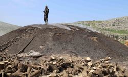 Çukurova sıcağında narenciye odunları mangal kömürüne dönüşüyor