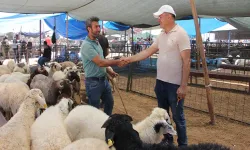 Bayramın ilk gününde kurban pazarında hareketlilik