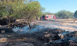 Burdur’da yarım saat içerisinde çıkan 5 yangında 60 dekar arazi yandı