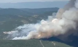 Bursa’daki yangının boyutu havadan görüntülendi