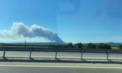 Çanakkale’de orman yangını, gemi trafiği askıya alındı