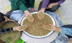 Coğrafi işaretli Ulukale dutu, Tunceli’nin köyünden çıkıp dünyaya ihraç ediliyor