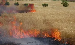 Kaza sonrası buğday tarlaları cayır cayır yandı