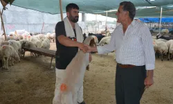 Kurbanlık satışı yapanlar hayvan fiyatlarının artmasına rağmen kar etmiyorlar