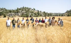 Mersin'de ata tohumlarının hasadına başlandı