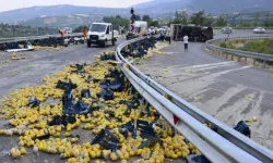 Mersin'de limon yüklü kamyon devrildi: 6 yaralı