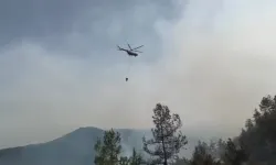 Sinop'taki orman yangını devam ediyor