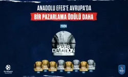 Anadolu Efes’e pazarlama ödülü