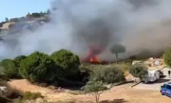 Foça’daki orman yangınına havadan ve karadan müdahale