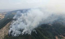 Kastamonu’daki orman yangını sürüyor: Havadan görüntülendi