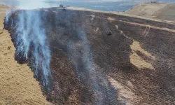 Mangal ateşi 3 bin dönüm araziye yayıldı