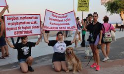 Sokak hayvanlarına dair yasa değişikliğine Mersin’den protesto