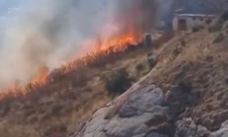 Elazığ’da otluk alanda çıkan yangın korkuttu