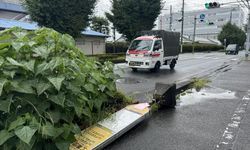 Japonya'da Ampil Tayfunu kabusu: 990 uçuş iptal edildi, tren seferleri durduruldu