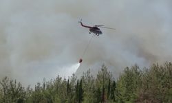 Çanakkale'deki tarihi yangında uçak ve helikopterler 708 sorti yaptı, 146 saat havada kaldı