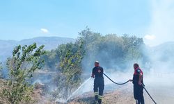 Ağaçlık alanda çıkan yangın itfaiye ekiplerinin müdahalesiyle söndürüldü