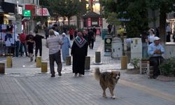 Kütahya kredi kullanımı ve batık kredi tutarında 40. sırada