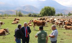 Erzincan Mera Islah Projeleri incelendi