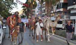 Silifke'de festival coşkusu