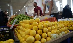 Çayın limonsuz içilmediği Erzincan’da limon fiyatı yüzleri güldürdü