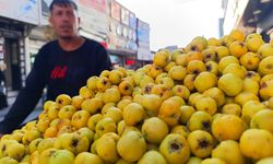 Kışın habercisi alıç, tezgahtaki yerini aldı