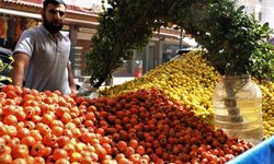 Sonbaharın aromatik meyvesi ‘alıç’ tezgahtaki yerini aldı