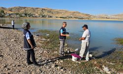 Van'da amatör balıkçılar denetime takıldı: Küçük balıklar suya bırakıldı