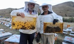 Arıcılığa hobi olarak başlayan emekli polis memuru ve abisi 7 ton bal üretti