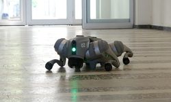 Deprem sonrası hasar tespiti artık yapay zeka destekli robotik köpeklerle yapılacak