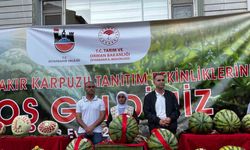 14. Diyarbakır Karpuz Festivali’nde ilk üçe girenlere para ödülü