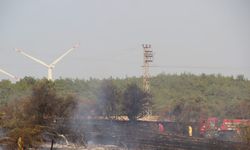 Çanakkale’de tarım arazisinde yangın