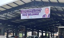 Coğrafi işaretli ürün pazara iniyor