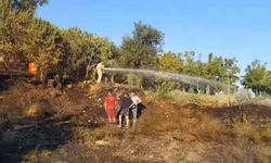 Denizli’de çıkan yangın ormana sıçramadan söndürüldü