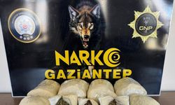 Gaziantep’te 5 kilo skunk ele geçirildi