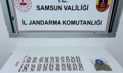 Jandarmadan uyuşturucu operasyonu: 2 gözaltı