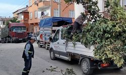 Körfez’de yeşil alanlara bakım