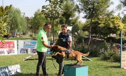 Minik öğrenciler eğitimli köpeklerin gösterisine hayran kaldı