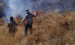 Tunceli’deki yangın ormanlık alana sıçramadan söndürüldü